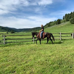 Meet your Posher, Delena